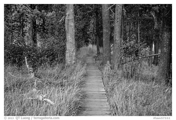 Boardwalk in meadow, Hot Springs Creek. Lassen Volcanic National Park (black and white)