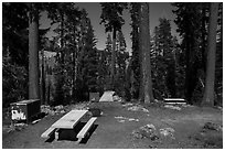 Southwest campground. Lassen Volcanic National Park ( black and white)