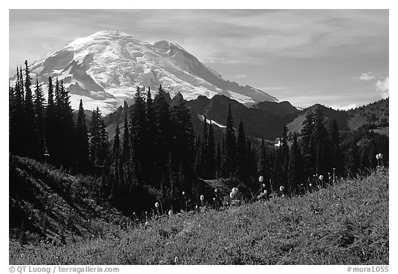 Mt Rainier from Tipsoo Lake area, afternoon. Mount Rainier National Park (black and white)