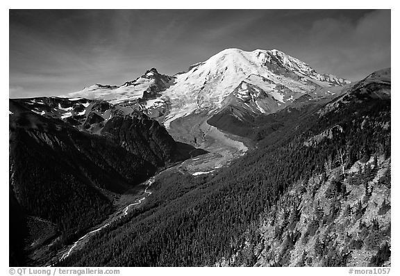 Emmons Glacier and Mt Rainier from Sunrise, morning. Mount Rainier National Park, Washington, USA.