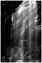 Waterfall in Carbon rainforest area. Mount Rainier National Park, Washington, USA. (black and white)