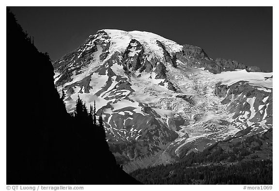 Mt Rainier seen from  Tatoosh range, afternoon. Mount Rainier National Park, Washington, USA.