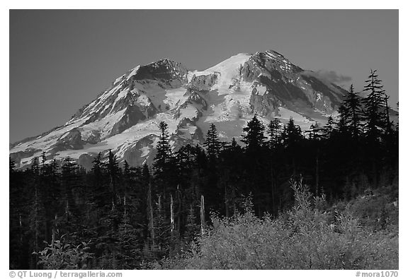 Mt Rainier at sunset from the west side. Mount Rainier National Park (black and white)