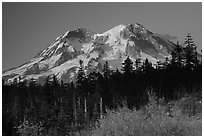 Mt Rainier at sunset from  South. Mount Rainier National Park, Washington, USA. (black and white)