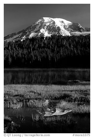 Mt Rainier reflected in Reflection lake, early morning. Mount Rainier National Park (black and white)