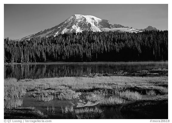 Reflection Lake and Mt Rainier, early morning. Mount Rainier National Park, Washington, USA.