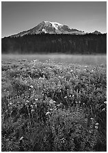 Pictures of Mount Rainier