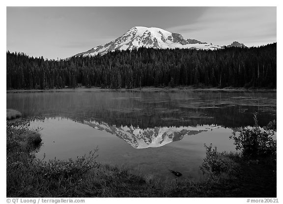 Mount Rainier reflected in lake at dawn. Mount Rainier National Park, Washington, USA.