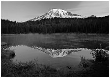 Mount Rainier reflected in Reflection Lake at dawn. Mount Rainier National Park ( black and white)