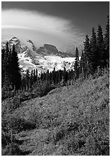 Meadow below Mount Rainier caped by cloud. Mount Rainier National Park, Washington, USA. (black and white)