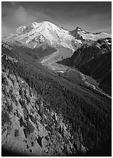 Valley fed by Mount Rainier glaciers, morning, Sunrise. Mount Rainier National Park, Washington, USA. (black and white)