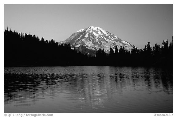 Mt Rainier above Eunice Lake, sunset. Mount Rainier National Park, Washington, USA.