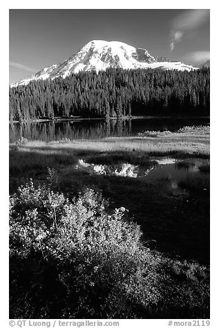 Mt Rainier and reflection, early morning. Mount Rainier National Park (black and white)