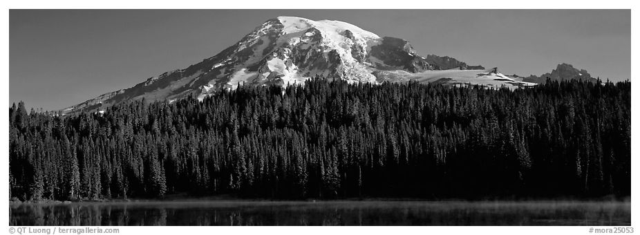 Mount Rainier raising above forest and lake. Mount Rainier National Park (black and white)