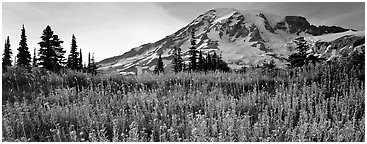 Mount Rainier National Park - panoramic pictures - US National Parks ...