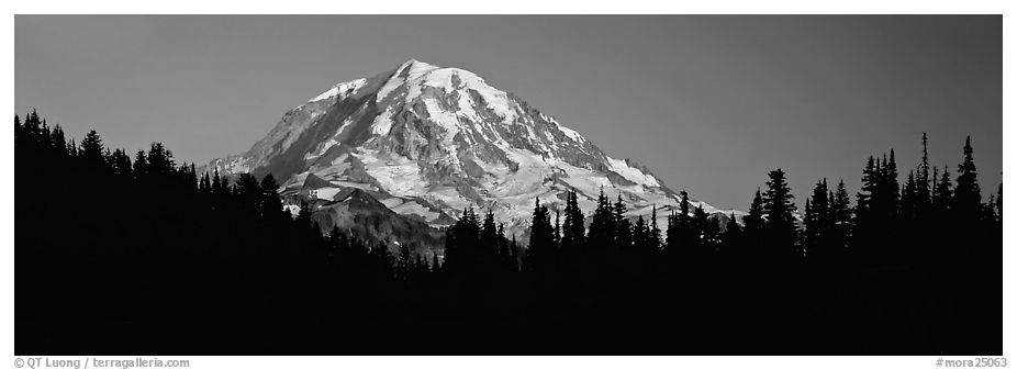 Mount Rainier above forest in silhouette. Mount Rainier National Park (black and white)