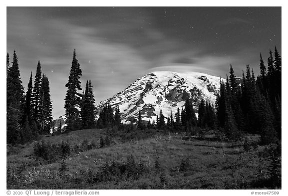 Moonlit Meadow and Mt Rainier. Mount Rainier National Park, Washington, USA.