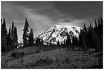 Moonlit Meadow and Mt Rainier. Mount Rainier National Park, Washington, USA. (black and white)