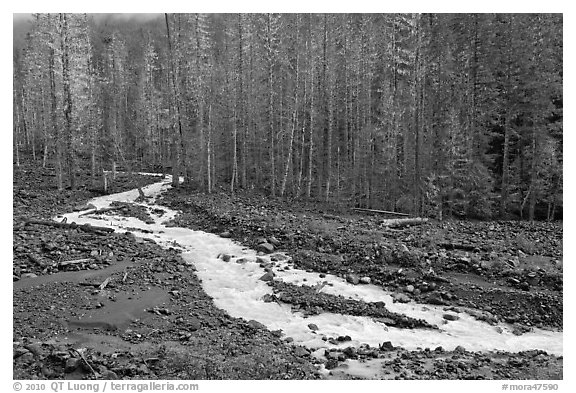 Tahoma Creek, Westside. Mount Rainier National Park (black and white)
