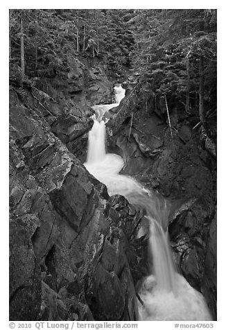 Cascades, Van Trump Creek. Mount Rainier National Park (black and white)