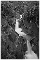 Cascades, Van Trump Creek. Mount Rainier National Park, Washington, USA. (black and white)