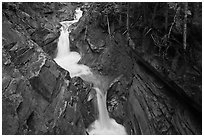Van Trump Creek. Mount Rainier National Park, Washington, USA. (black and white)