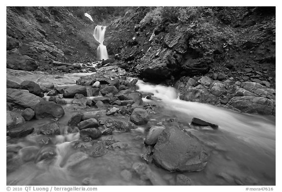 Creek and waterfall. Mount Rainier National Park (black and white)