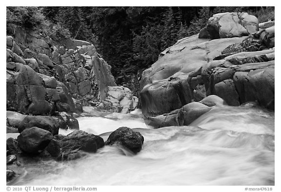 Water flowing down gorge. Mount Rainier National Park (black and white)