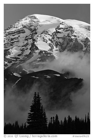 Mount Rainier rising above fog at sunrise. Mount Rainier National Park (black and white)