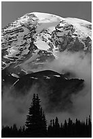 Mount Rainier rising above fog at sunrise. Mount Rainier National Park ( black and white)