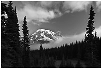 Conifers, clouds, and Mount Rainier. Mount Rainier National Park, Washington, USA. (black and white)