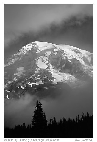 Mountain emerging from clouds. Mount Rainier National Park (black and white)