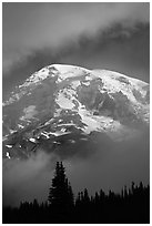 Mountain emerging from clouds. Mount Rainier National Park, Washington, USA. (black and white)