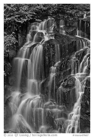 Water cascading over columns of volcanic rock. Mount Rainier National Park, Washington, USA.