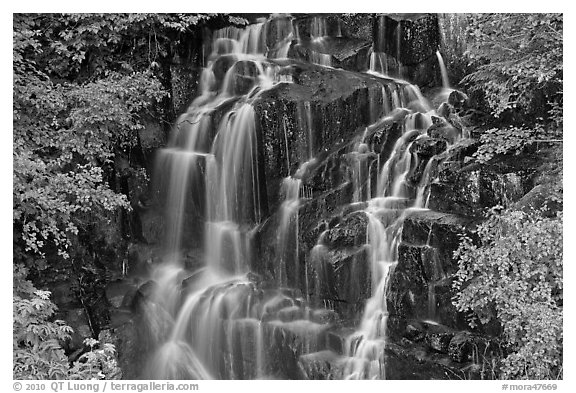 Waterfall over volcanic rock, Stevens Canyon. Mount Rainier National Park, Washington, USA.