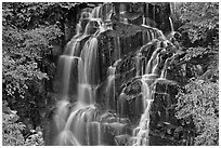 Waterfall over volcanic rock, Stevens Canyon. Mount Rainier National Park, Washington, USA. (black and white)