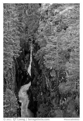 Deep narrow box canyon with vertical walls. Mount Rainier National Park (black and white)