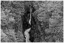 Mossy green basalt canyon. Mount Rainier National Park, Washington, USA. (black and white)