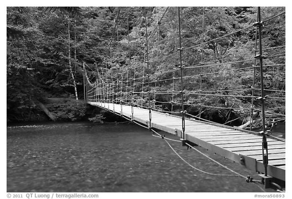 Suspension footbridge over Ohanapecosh River. Mount Rainier National Park, Washington, USA.