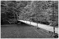 Suspension footbridge over Ohanapecosh River. Mount Rainier National Park, Washington, USA. (black and white)