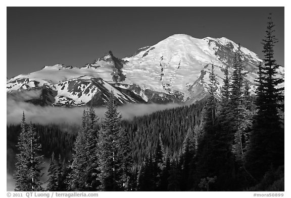 Mount Rainier from Sunrise. Mount Rainier National Park, Washington, USA.