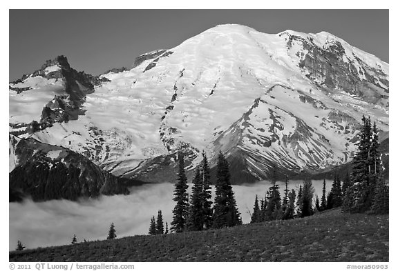 Meadow and Mt Rainier above fog-filled valley. Mount Rainier National Park, Washington, USA.