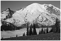 Meadow and Mt Rainier above fog-filled valley. Mount Rainier National Park, Washington, USA. (black and white)