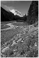 White River creek and Mt Rainier. Mount Rainier National Park, Washington, USA. (black and white)