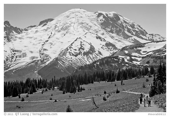 Sunrise area trails. Mount Rainier National Park (black and white)