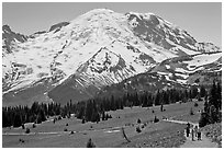 Sunrise area trails. Mount Rainier National Park, Washington, USA. (black and white)