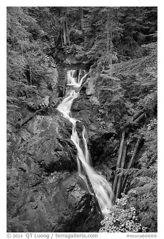 Deer Creek Falls. Mount Rainier National Park (black and white)