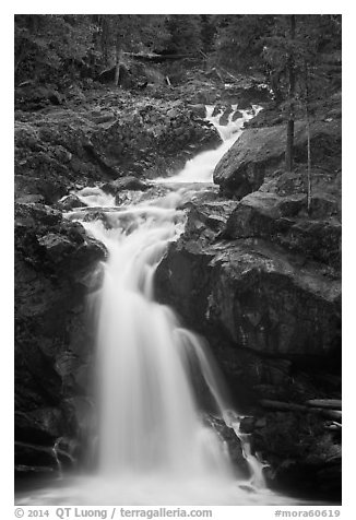 Silver Falls. Mount Rainier National Park (black and white)