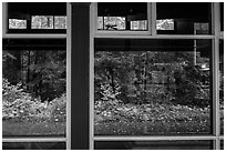 Rain forest window reflexion, Ohanapecosh Visitor Center. Mount Rainier National Park ( black and white)