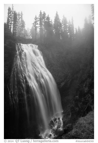 Narada Falls in the fog. Mount Rainier National Park (black and white)